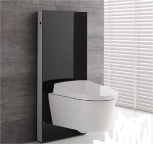 Geberit Monolith RezervuarAsma Klozetler için 101cm Siyah Cam 131.021.SJ.6 - 2