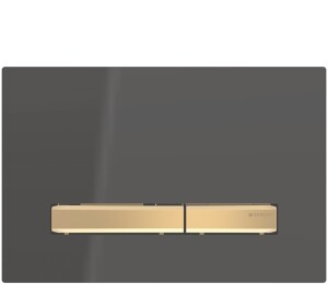 Geberit Sigma50 Kumanda Kapağı Siyah/Pirinç 115.672.DW.2 - Geberit