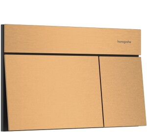 Hansgohe iFrame Element E Kumanda Kapağı Mat Bronz 66003140 