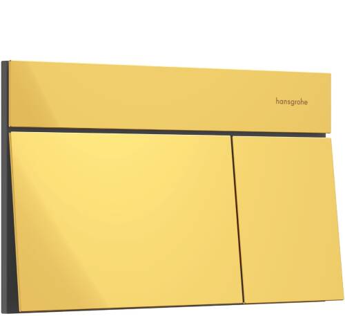 Hansgohe iFrame Element E Kumanda Kapağı Parlak Altın 66003990 - 1
