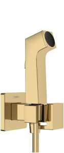 Hansgrohe Bidette E Taharet Seti Soğuk Su Parlak Altın 29231990 - Hansgrohe