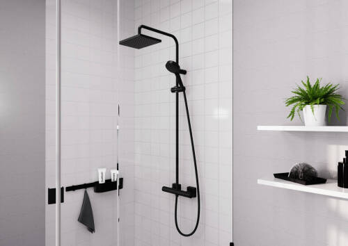 Hansgrohe Vernis Shape Termostatik Duş Kolonu EcoSmart Mat Siyah 26097670 - 2